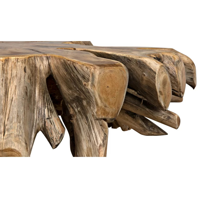 Noir -Teak Root Coffee Table