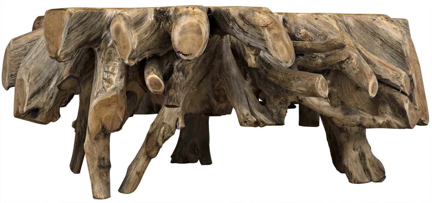 Noir -Teak Root Coffee Table