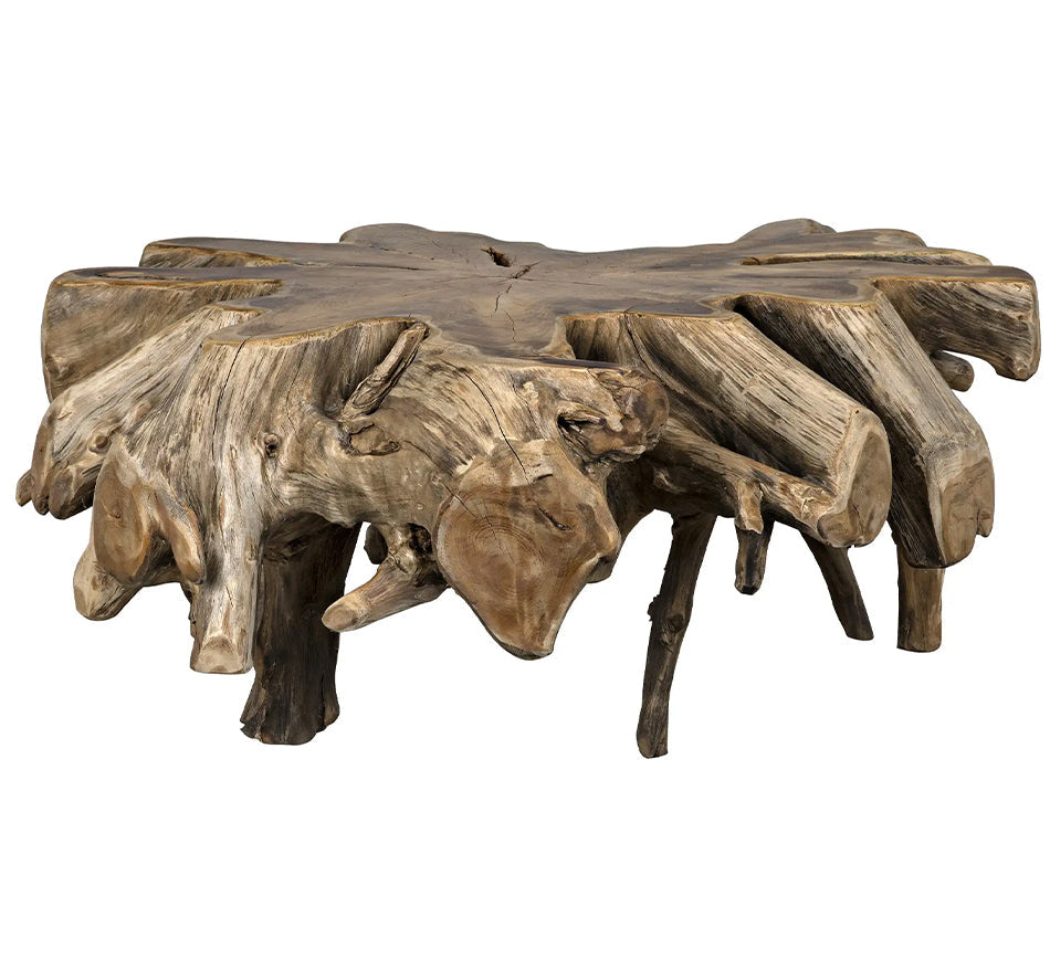 Noir -Teak Root Coffee Table